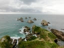catlins (32)